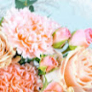 Meet your Posher, Ann